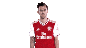 arsenal celebration celebrate goal spain Sticker