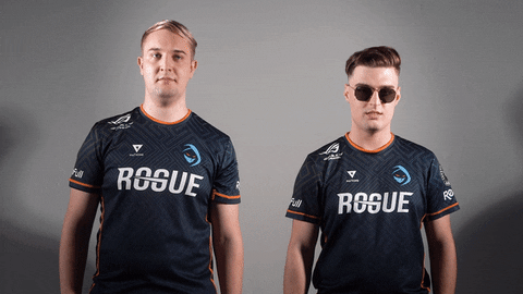 Esports Players GIF by Rogue