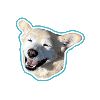 Happy Gluten Sticker by Psitwór