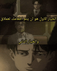 Attack Of Titan Ackerman GIF