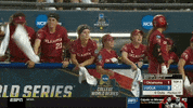 softball oklahoma GIF by NCAA Championships