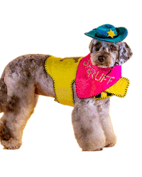 Bbc One Lol Sticker by BBC