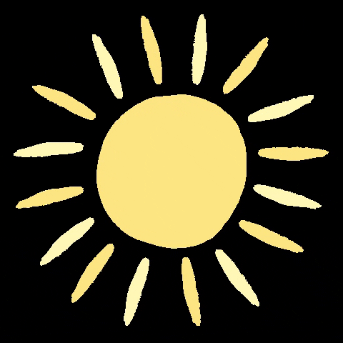deseostudio giphygifmaker sun zon zonnetje GIF