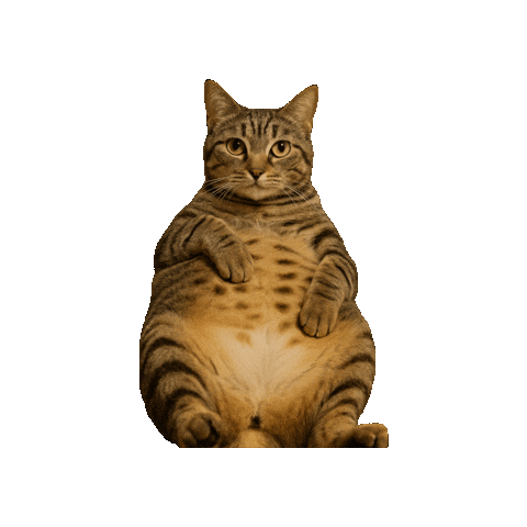 Cat Sticker by Lasca Fox