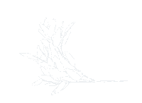 Summer Flower Sticker