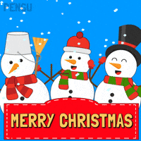 Merry Christmas GIF by Pudgy Penguins