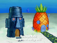 season 4 GIF by SpongeBob SquarePants