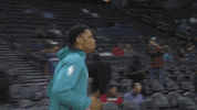 charlotte hornets dancing GIF by NBA