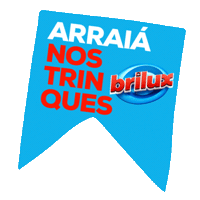 Festa Junina Arraia Sticker by Brilux