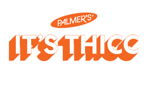 New Orleans Nola Sticker by Palmer's US