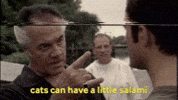 Paulie Walnuts Cat GIF by jOnNy'S wOrLd
