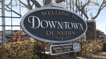 Blue Jays Baseball GIF by Toronto Blue Jays