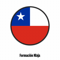 Flag Chile GIF by Formación Ninja