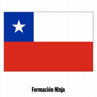 Flag Chile GIF by Formación Ninja