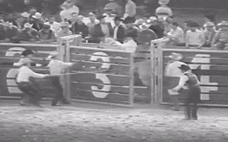 Vintage Fail GIF by Texas Archive of the Moving Image