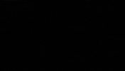 CoHockey hockey caha teamcolorado cohockey GIF