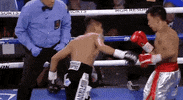 Espn Fighting GIF by Top Rank Boxing