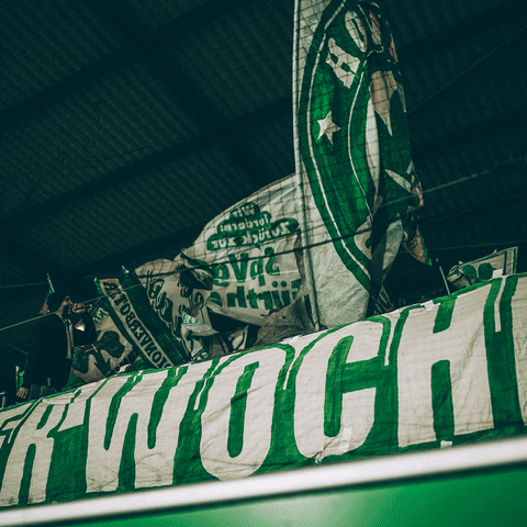 SpVggFuerth giphyupload GIF