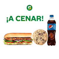 Meeting Domingo Sticker by SubwayMX