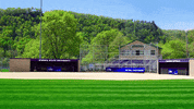 Warriors Softball GIF by WinonaStateATH