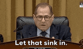 impeachment jerry nadler let that sink in obstruction of justice corey lewandowski testimony GIF