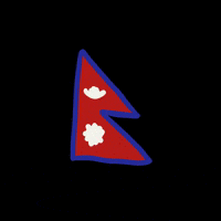 kimfordesign flag country kim national GIF