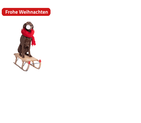 Merry Christmas Dog Sticker by Niedersachsen-Ticket