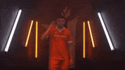 Hamilton Forge GIF by Hamilton Sports Group