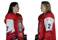 Celebration Hockey Sticker by Národní tým