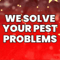 Pauldavis GIF by Patriotic Pest Solutions