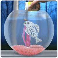 GIF by Chris Timmons