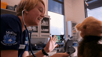 Check Up No Way GIF by Aquarium of the Pacific
