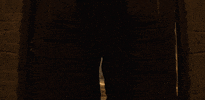 Walk Through Season 2 GIF by Paramount+