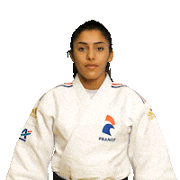 Respect Bonjour Sticker by France Judo