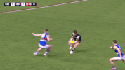 Carlton Fc Dow GIF by Carlton Football Club