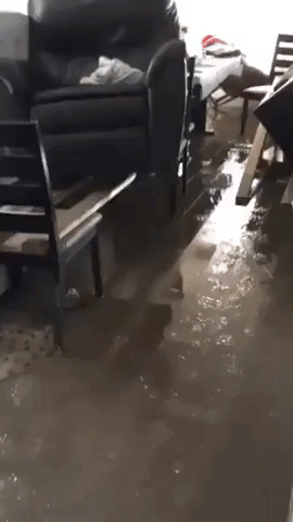 Quebec Home's Floors Coated in Mud After Flooding