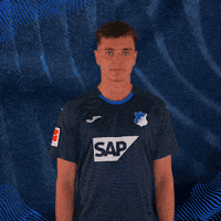 Sport Bundesliga GIF by TSG Hoffenheim