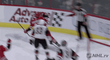 happy ice hockey GIF by NHL