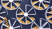 Gold Perfect Loop GIF by CmdrKitten