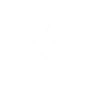 Mountain Wizard Sticker by MOWI BIKE