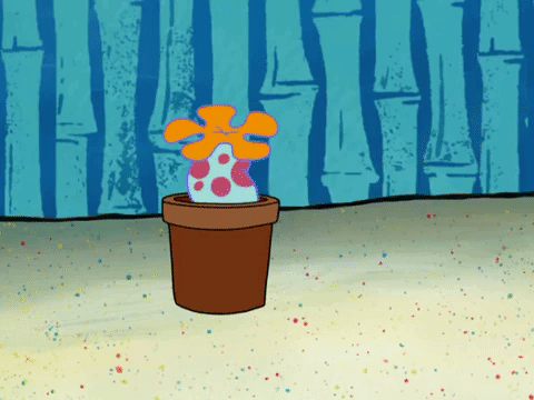 season 8 GIF by SpongeBob SquarePants