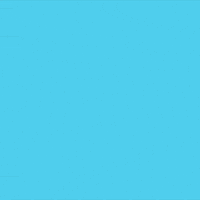 Black Friday Shopping GIF by Jessica Lau