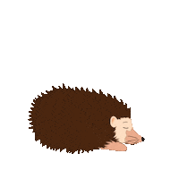 Sleepy Sticker by soundnotation