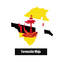 Brunei Flag Sticker by Formación Ninja