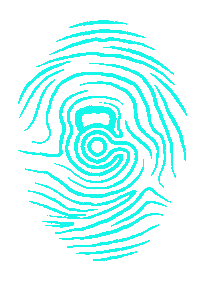 rainbow colors Sticker by Colliery  CrossFit Ostrava