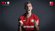 Wecbl GIF by Bundesliga