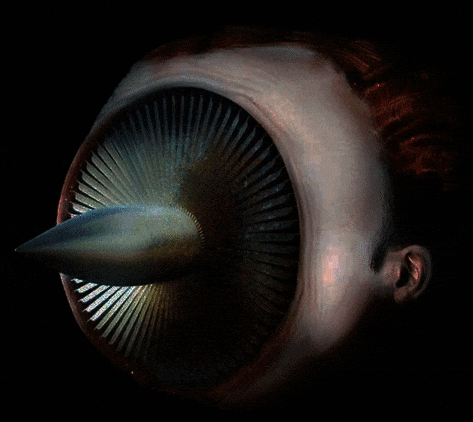 Turbine Walking Bread GIF by Alex Boya