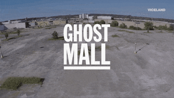 viceland GIF by ABANDONED