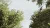 not2bad GIF by EchoBoom Sports