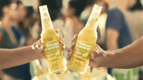 Bud Light Lime Beer GIF by Tyler